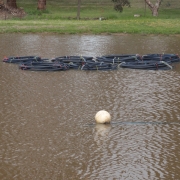 geothermal pond loop ready to be submerged